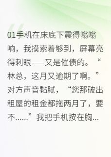 破产CEO的温婉保姆苏晚照周明远陈默无广告在线阅读