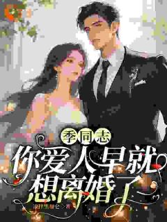 蓝见微季延淮全集小说_季同志，你爱人早就想离婚了完结版阅读