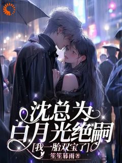 沈总为白月光绝嗣，我一胎双宝了免费章节沈总为白月光绝嗣，我一胎双宝了点我搜索全章节小说