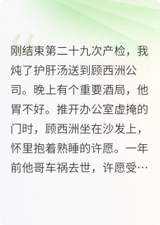 抖音爆款小说赠你明月还我霜顾西洲许愿免费txt全文阅读