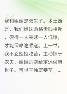 我和姐姐是双生子(全章节)-陆文昭邱姨娘在线阅读