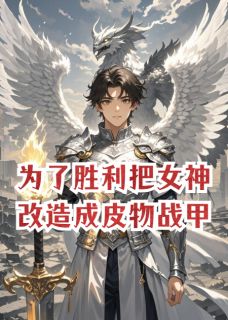 为了胜利把女神改造成皮物战甲韩书宇林夜小说完整在线阅读-二筒文学网