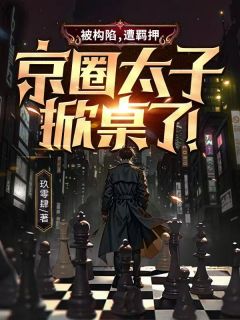 熬夜也要看完的被构陷，遭羁押，京圈太子掀桌了！小说推荐