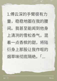 主角傅云深陆衍沈朝小说爆款我死后，前夫抱着我的骨灰盒疯了完整版小说-二筒文学网