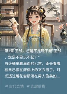 【抖音】王爷，您是不是玩不起？全文阅读-二筒文学网