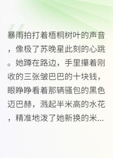 快手热推总裁的千层套路，砸在煎饼鏊子上小说主角苏晚星陆知衍在线阅读-二筒文学网