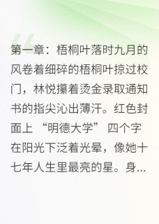 【碎银与月光】小说在线阅读-碎银与月光免费版目录阅读全文-二筒文学网