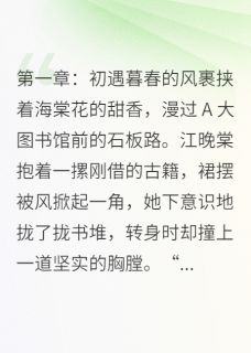 沈逸风江晚棠小说<海棠未眠，情殇难休>全文在线阅读-二筒文学网