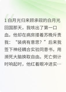 主角是顾承砚沈微的小说叫什么他把白月光作上天后我死了免费全文阅读-二筒文学网