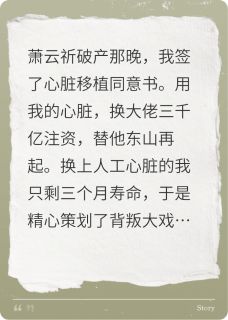 主人公萧云祈赵晨曦小说心契在线全文阅读