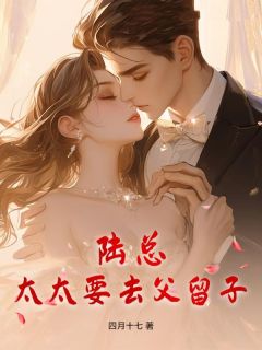 抖音爆款陆总，太太要去父留子完整小说（全文阅读）