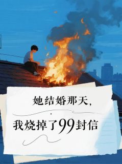 爆款小说她结婚那天，我烧掉了99封信-主角林晚周慧兰在线阅读-二筒文学网