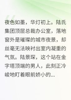 涅槃归来：陆总的漫漫追妻路精彩章节-涅槃归来：陆总的漫漫追妻路免费阅读全文
