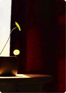 抖音爆款一杯没喝到的咖啡小说免费阅读