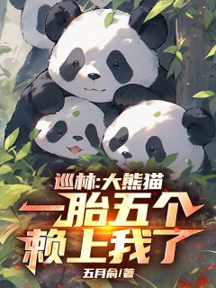 巡林：大熊猫一胎五个，赖上我了是什么小说沈星熊猫全本免费阅读