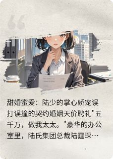 甜婚蜜爱：陆少的掌心娇宠小说主角是苏暖暖陆霆琛全文完整版阅读-二筒文学网