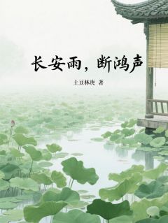 长安雨，断鸿声沈砚之苏绾绾小说全文-长安雨，断鸿声小说
