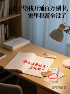 妻子给我开通百万副卡，家里积蓄全没了小说(连载文)-宋清然齐岳无广告阅读-二筒文学网