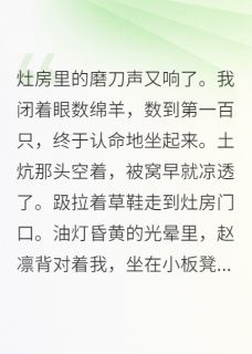 赵凛李里正萧景琰是哪部小说的主角 发现夫君是失忆皇子全文无弹窗