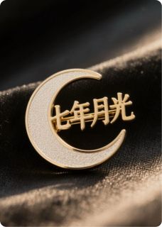 热门推荐胸针里的七年月光by一只慵懒的猫啊小说正版在线