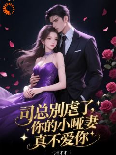 老书虫书荒推荐司总别虐了，你的小哑妻真不爱你txt小说阅读