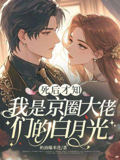 热文死后才知，我是京圈大佬们的白月光小说-主角纪安宁宋靳南全文在线阅读