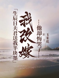 （全本）生辰日夫君送我半块墨，我改嫁他却悔哭了主角谢知衡柳月瑶澈儿全文目录畅读