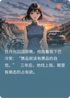 爆款小说把我逼走后，他后悔了在线阅读-叶钟青傅汐提姆免费阅读