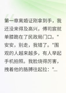 安安傅司宸许庭深主角的小说完结版我离婚,他疯了全集