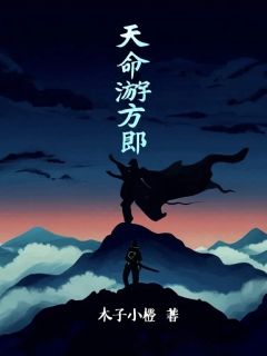 新上天命游方郎木子小橙小说免费阅读-二筒文学网