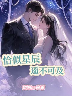 恰似星辰遥不可及小说简星辰陆遥苏暖免费阅读-二筒文学网