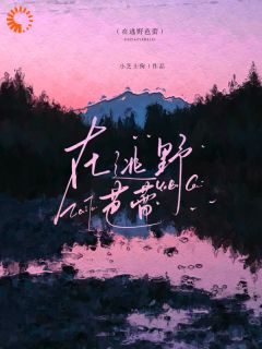 在逃野芭蕾知乎后续免费试读