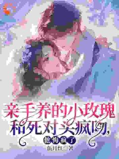 姜司音谢璟雾小说结局-二筒文学网