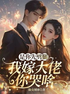 是你先劈腿，我嫁大佬你哭啥？by江晚栀陆嘉恒在线阅读-二筒文学网