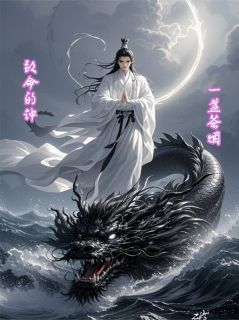 苏晚林深主角的小说完结版致命的钟全集-二筒文学网