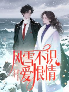 抖音风雪不识爱恨情小说章节阅读