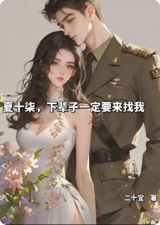 夏十柒，下辈子一定要来找我。小说免费版阅读抖音热文