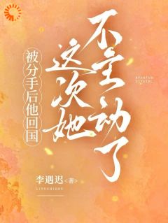 优质新书被分手后他回国，这次她不主动了最新章节小说全文阅读