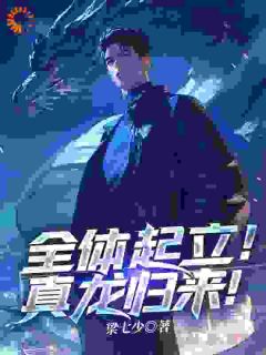 陆风苏念雪主角的小说完结版全体起立！真龙归来！全集