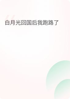丈夫白月光回国后我跑路了章节全目录 林晚沈聿白全文免费阅读-二筒文学网
