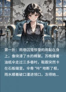 [抖音]小说苏晚沈知衍雨锁凤钗-二筒文学网