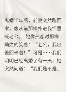 值得熬夜看完的失忆前妻住我家小说阅读