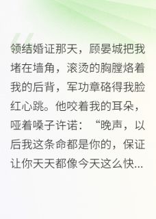 火爆军婚失忆：我爆锤白莲花！小说，主角是顾晏城白薇薇在线阅读全文无删减-二筒文学网