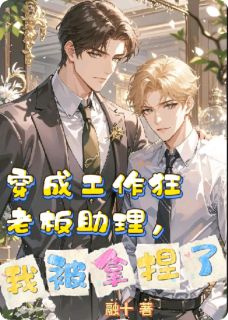 融十写的小说穿成工作狂老板助理，我被拿捏了傅御琛苏北全文阅读