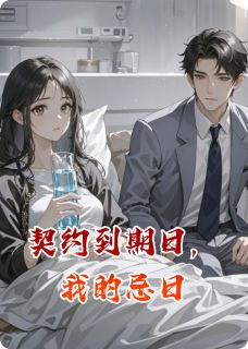 （全本）契约到期日，我的忌日主角陆沉舟苏晚全文目录畅读-二筒文学网