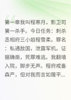 影卫司第一杀手退休开客栈小雨程雪柔程达-小说txt全文阅读