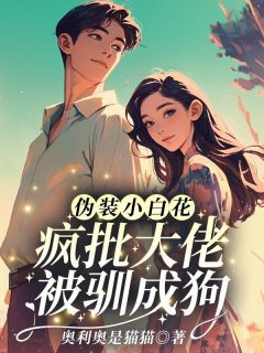 爆款小说伪装小白花？疯批大佬被驯成狗在线阅读-苏淼淼万斯年免费阅读-二筒文学网