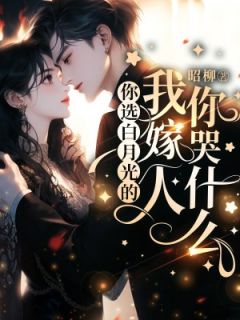 小说推荐你选白月光的，我嫁人你哭什么完结版全章节阅读