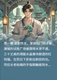 瀚宇龙契谪仙心上月小说(连载文)-墨玄月瑶无广告阅读