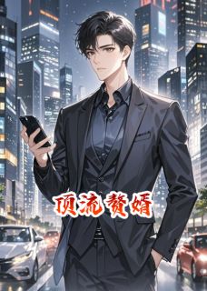 顶流赘婿精彩小说-顶流赘婿目录阅读-二筒文学网